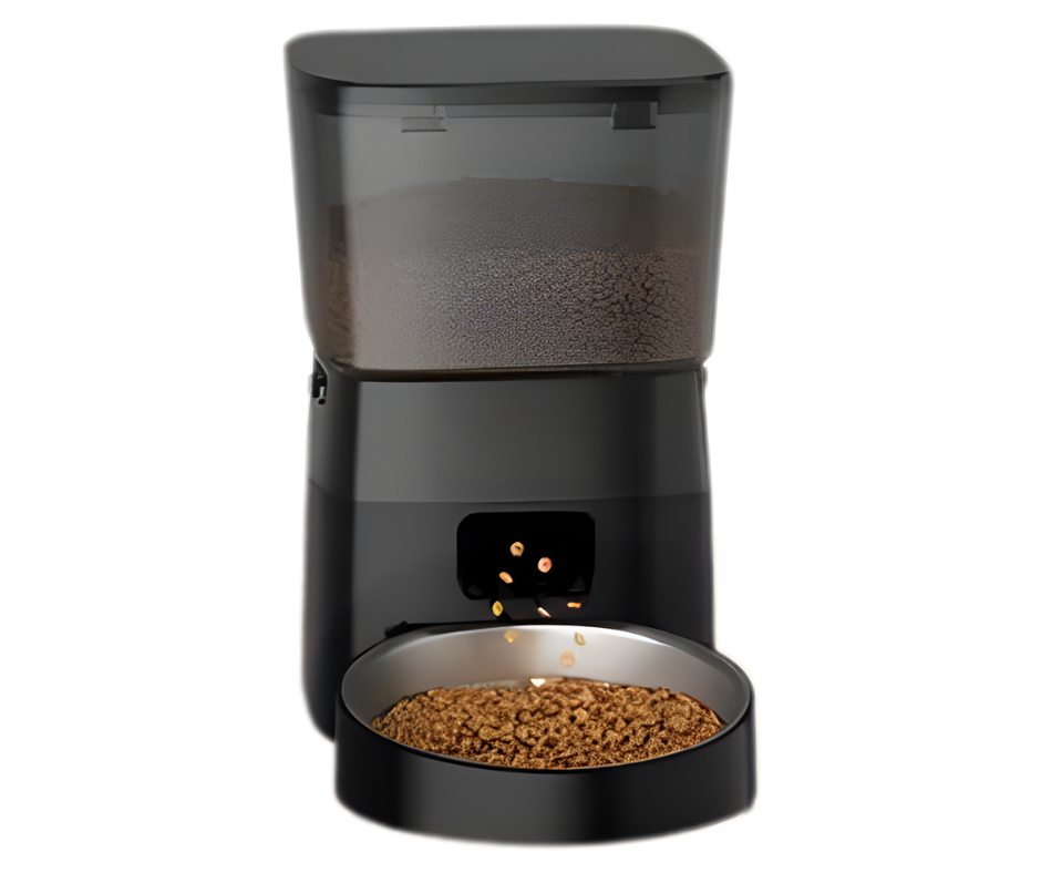 Describes the appearance of the image